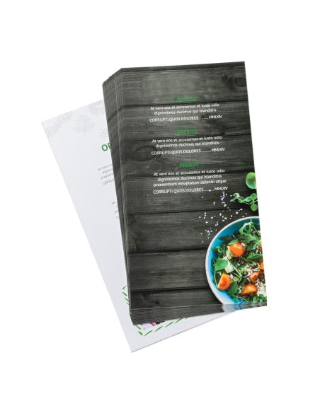 Cartas de platos sencillas, DIN-largo, 4/4-colored, papel cuché de 300 g/m²