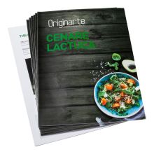 Folded menus, DIN-A6, formato vertical, 4 pág., papel cuché 250 g/m² brillante