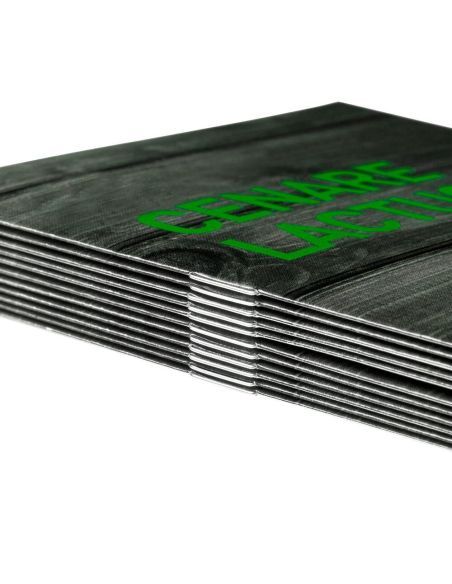 Cartas de platos grapadas, 8 páginas, A4, 21 x 29,7 cm, papel cuché 200 g/m² , 4/4