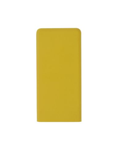 Power Bank Caplan