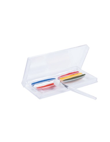 Set Pinturas Colour