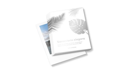 Flyers con colores de efecto, impresión a dos caras