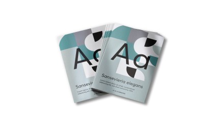 Formatos verticales