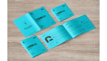 Formatos equiparables