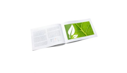 Formatos equiparables