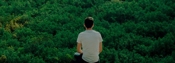 Persona de espaldas mirando un bosque